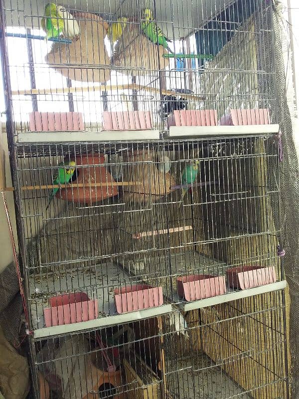 6portion cage for sale 0