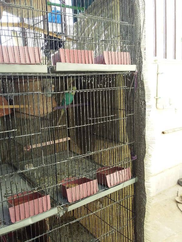 6portion cage for sale 1