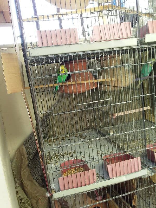 6portion cage for sale 6