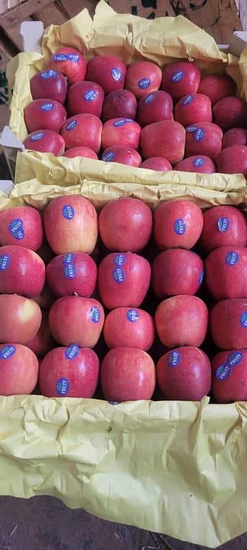 Fresh Fruits Available For Sale 5