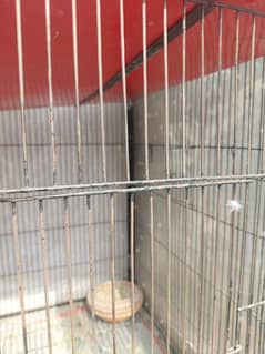 Parrot Cage 2 portion hain