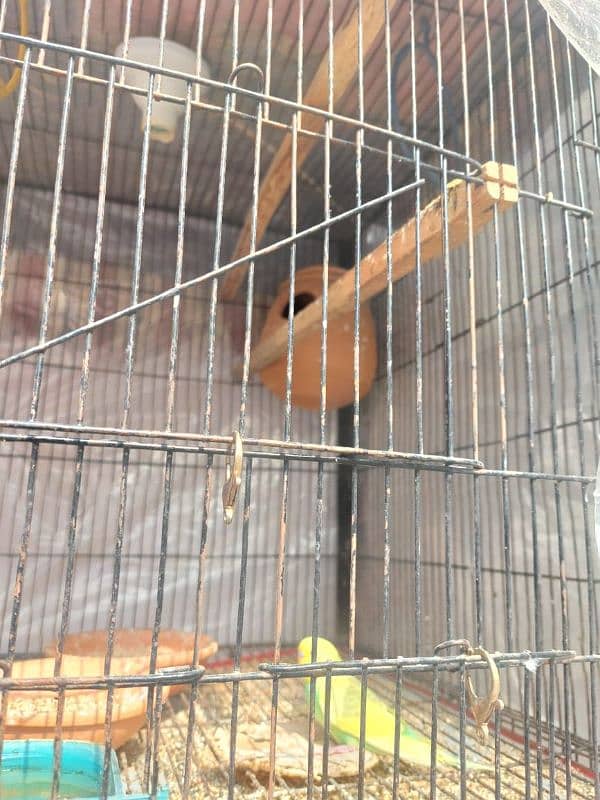 Parrot Cage 2 portion hain 2