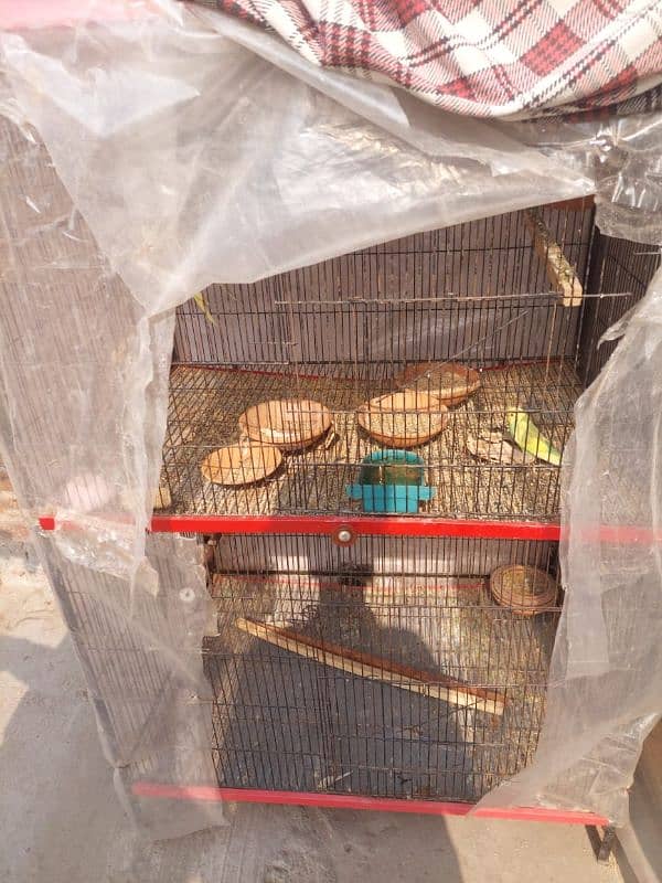 Parrot Cage 2 portion hain 3