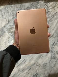 Ipad Mini 5