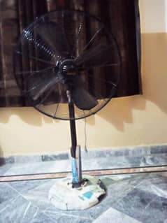 peadestel fan for summers.