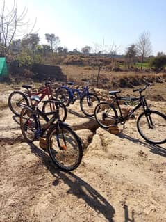 Bicycles For Sale