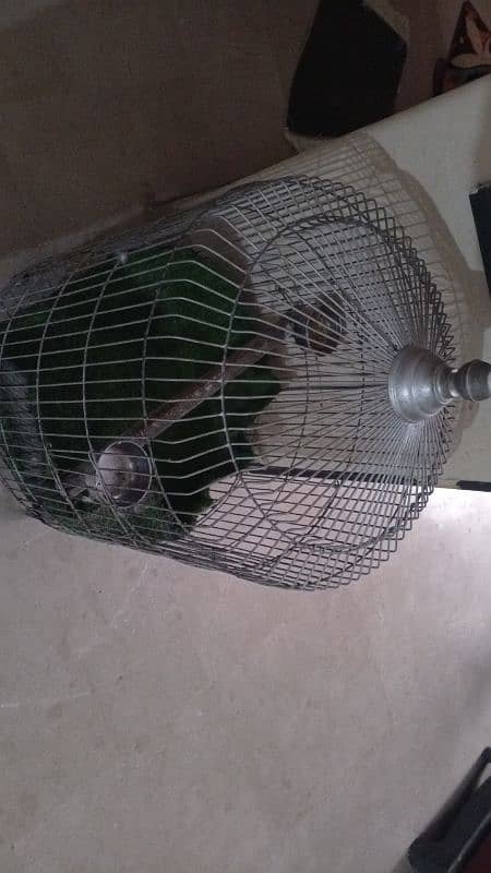 Cage for sale 1