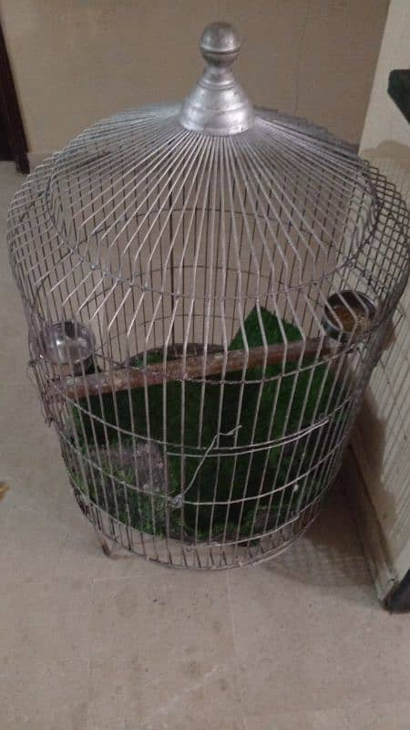 Cage for sale 2