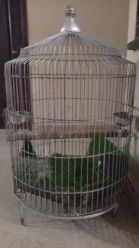 Cage for sale 3