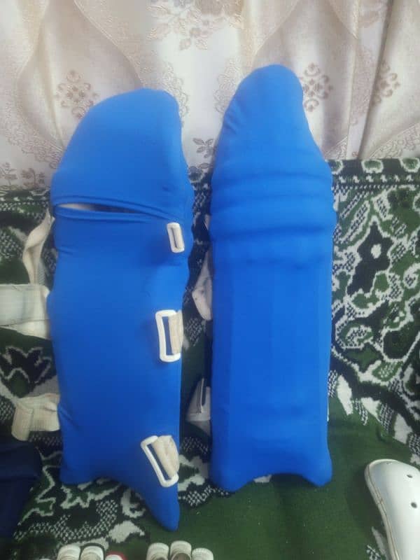 Complete Hard Ball Cricket Kit 3