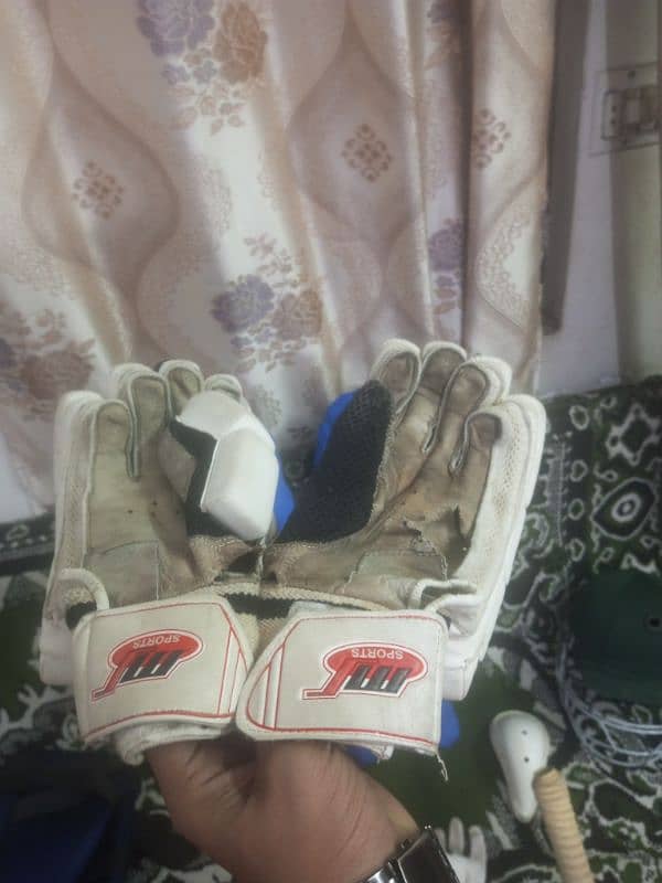 Complete Hard Ball Cricket Kit 5