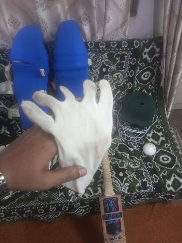 Complete Hard Ball Cricket Kit 6