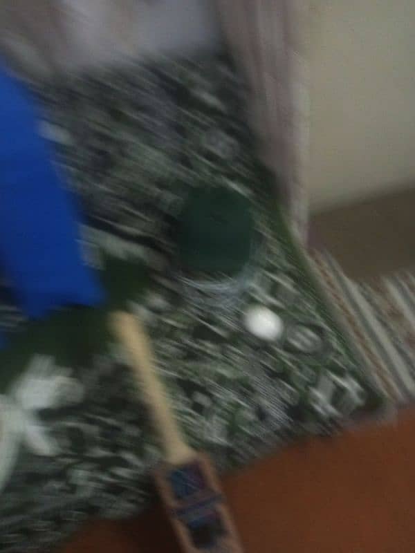 Complete Hard Ball Cricket Kit 9