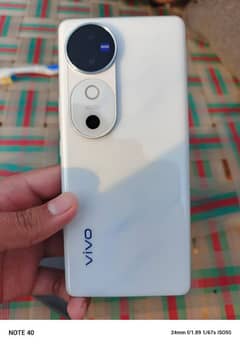 Vivo