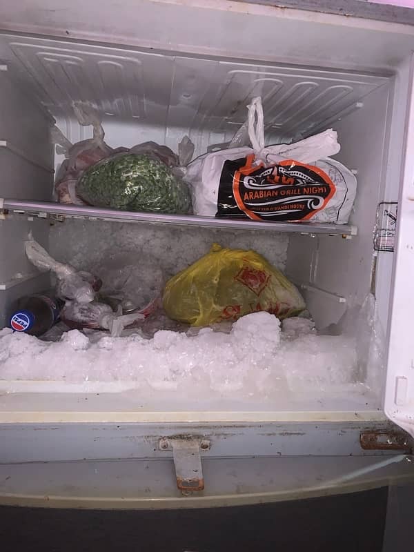 medium size refrigerator 3