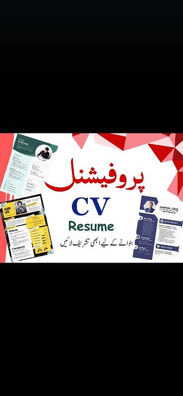 Professional  CV Resume 0