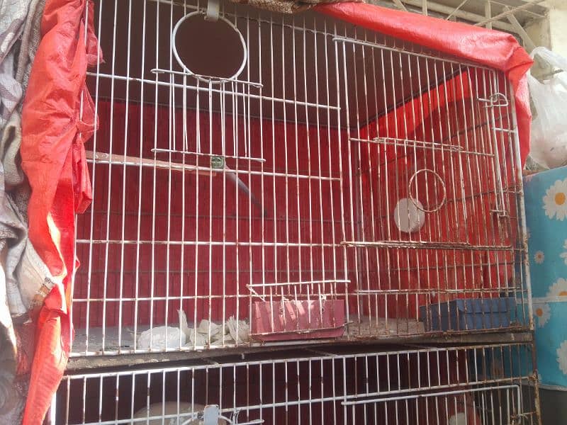 4 portions big cage for birds as well as hens 1