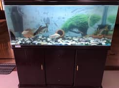 used aquarium