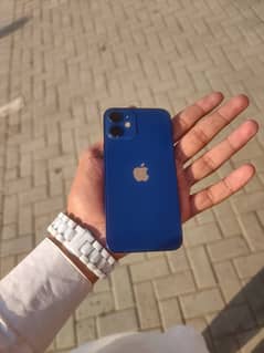 iphone 12 mini