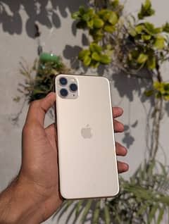 iphone 11 pro max FU