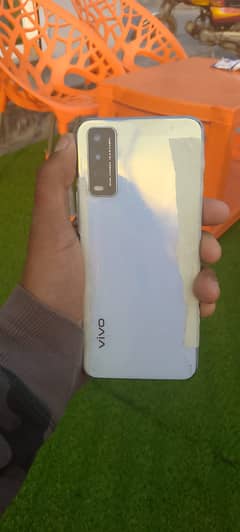 Vivo