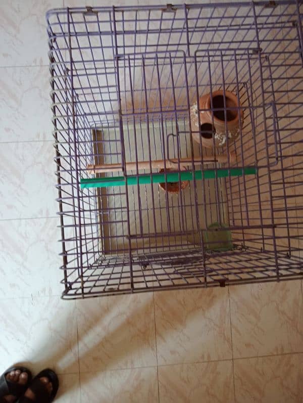 parrot cage for sale 0