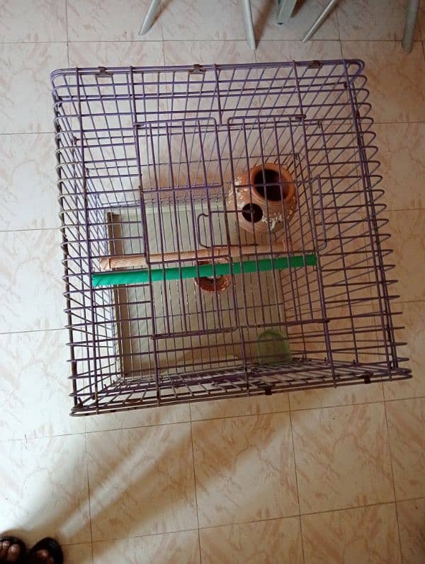 parrot cage for sale 1