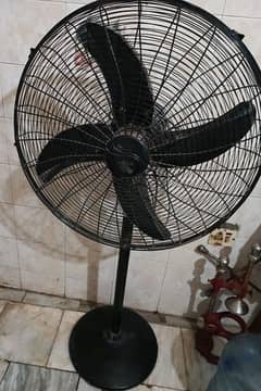 Pedestal Fan