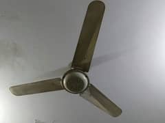 Celling fan