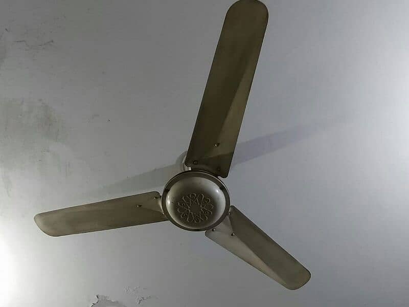 Celling fan 1