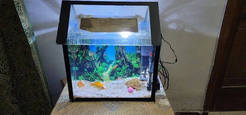 Aquarium with accessories for sell 0