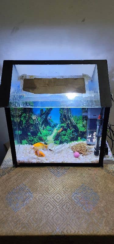 Aquarium with accessories for sell 1