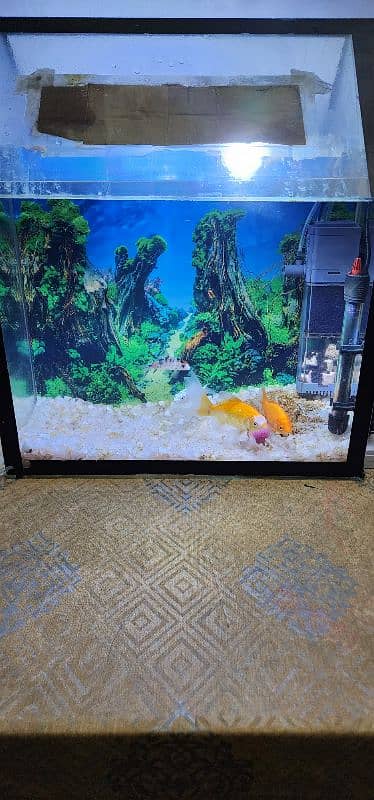 Aquarium with accessories for sell 3