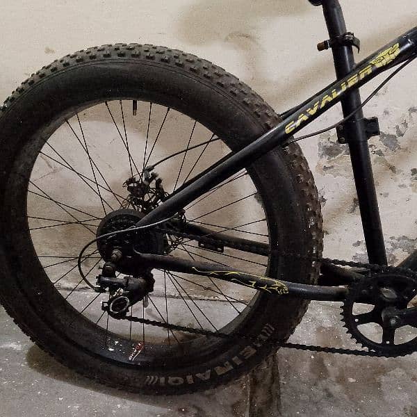 Mountain bicycle fat tyer 1