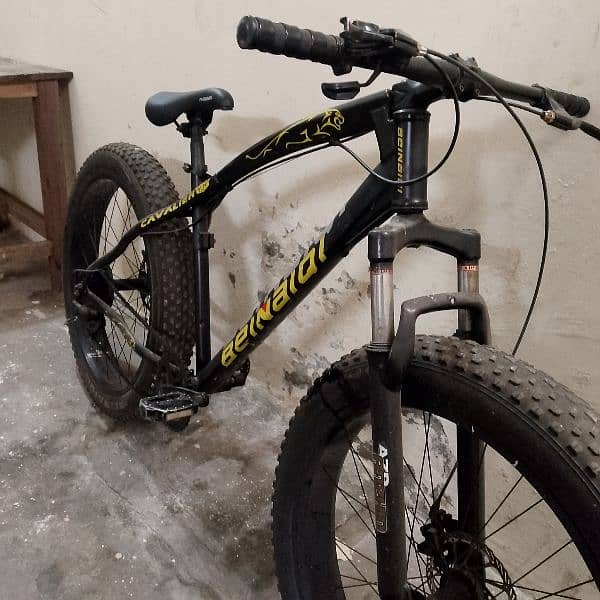 Mountain bicycle fat tyer 2