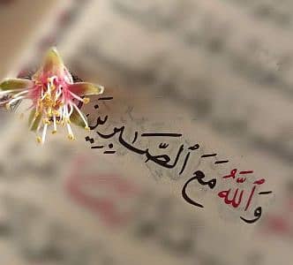 Noman Jutt302
