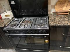 Gas burner cooker enviro