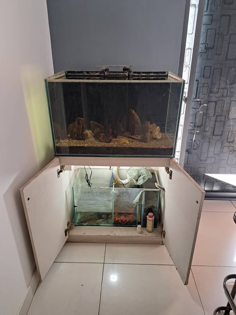 2.5 ft 12mm aquarium with sump (whole setup) 1