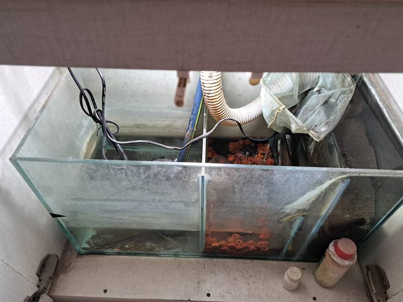 2.5 ft 12mm aquarium with sump (whole setup) 3