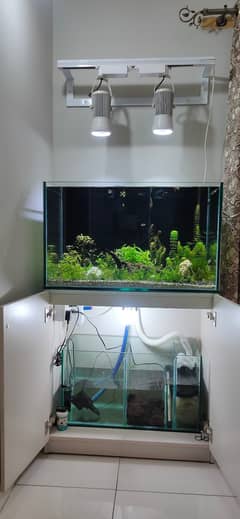 2.5 ft 12mm aquarium with sump (whole setup)