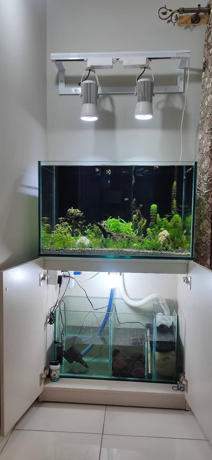 2.5 ft 12mm aquarium with sump (whole setup) 0