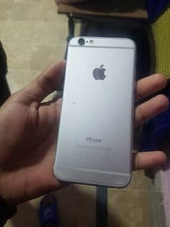 iphone 6