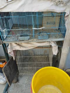 3 floor cage . 1X3 and white cage 1.2X1.2 cage for sell