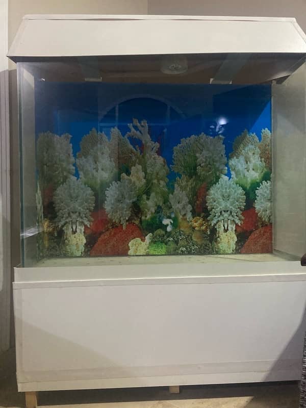 aquarium 0