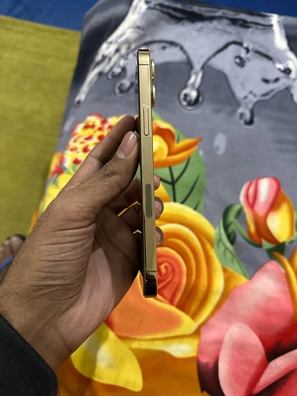 iphone 12 pro max PTA 3