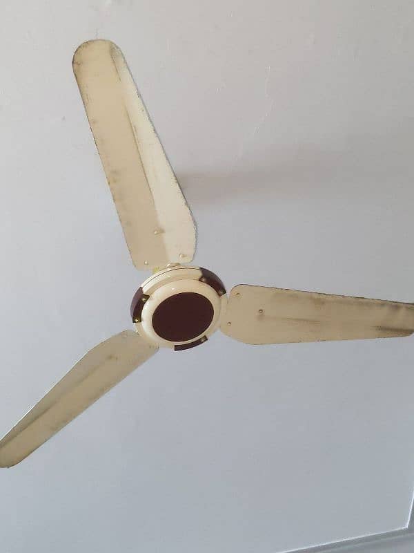 Ceiling Fans 0