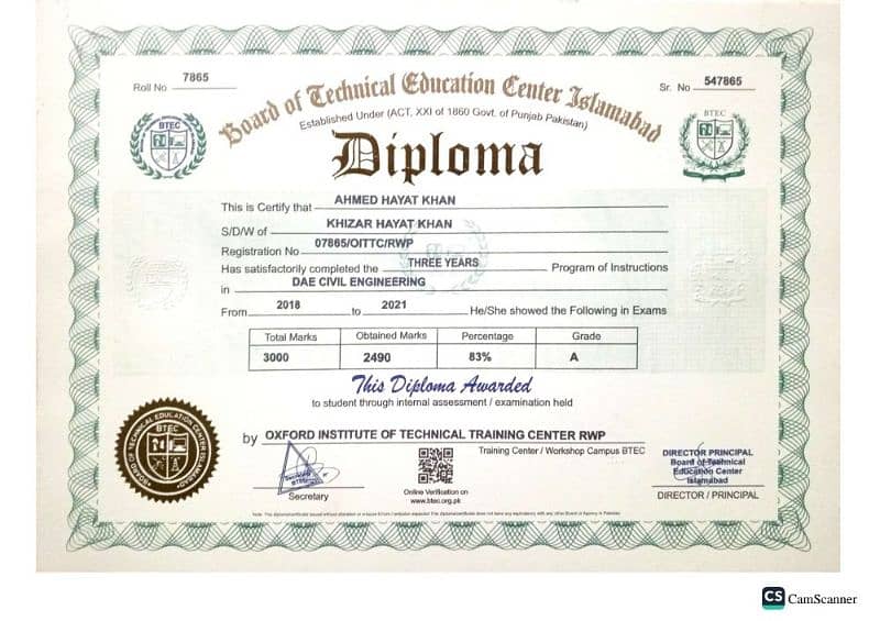 Diploma online with record 2