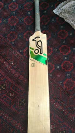 cricket bat