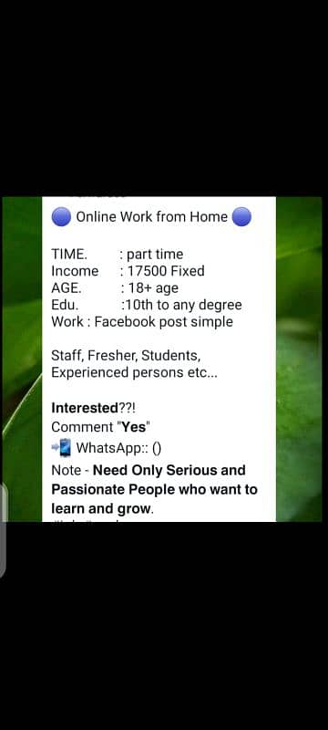 online jobs 0