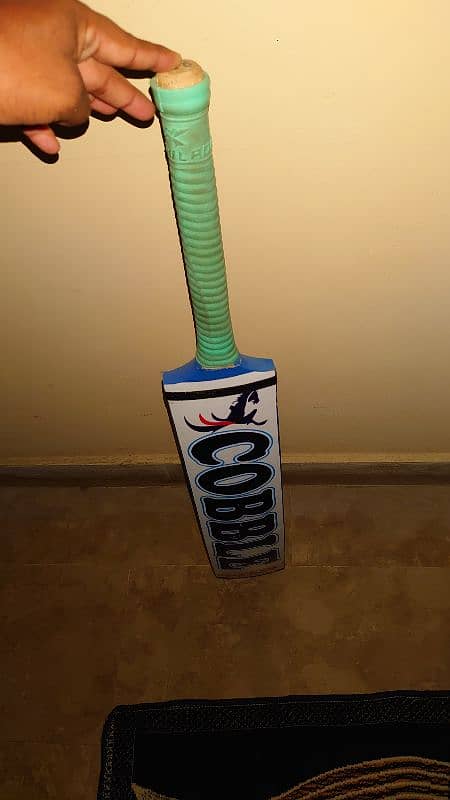 cobble coconut bat 2